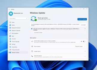 Windows 11 KB5037853 update