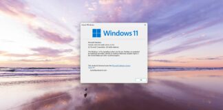 Windows 11 KB5037862 beta adds copy option in Windows share