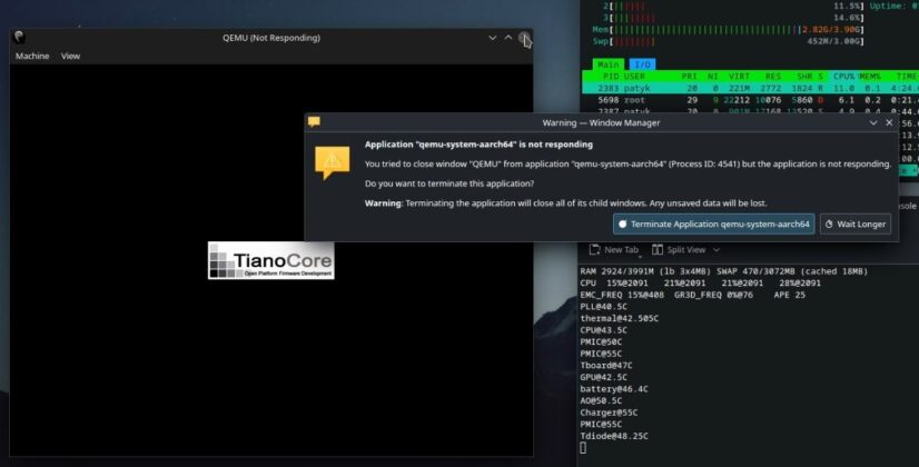 Windows 11 on Nintendo Switch