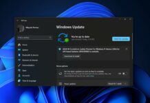 Windows 11 KB5039302 update