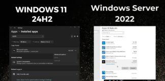 Windows 11 Microsoft Copilot package entry