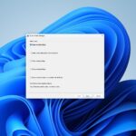 Windows Driver Verifier Manager