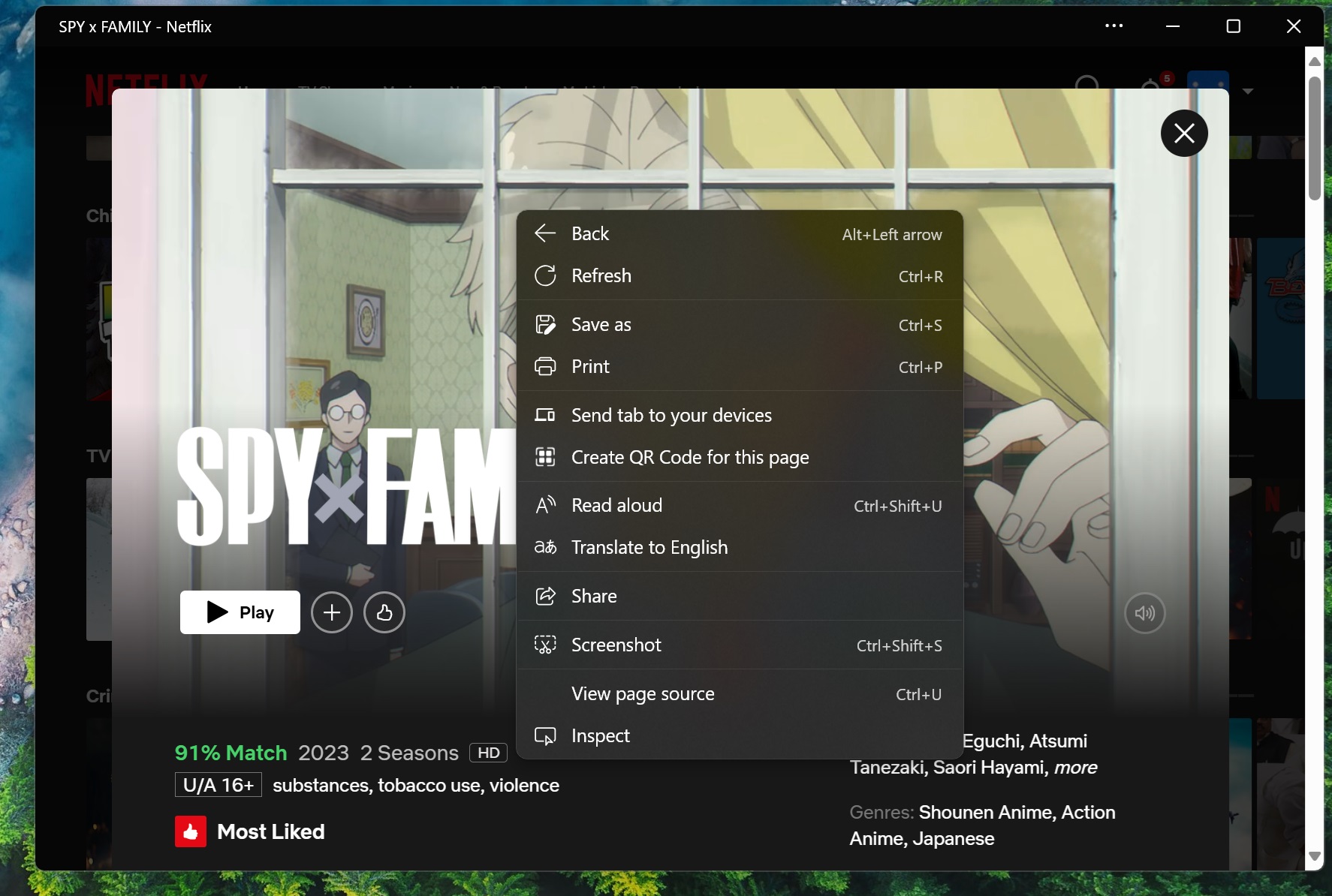 Netflix app is Microsoft Edge wrapper