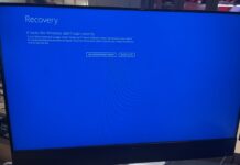 Windows 10 BSOD with Recovery Screen and It looks like Windows didn't load