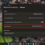 Windows 11 24H2 lets you adjust the mouse scroll wheel direction