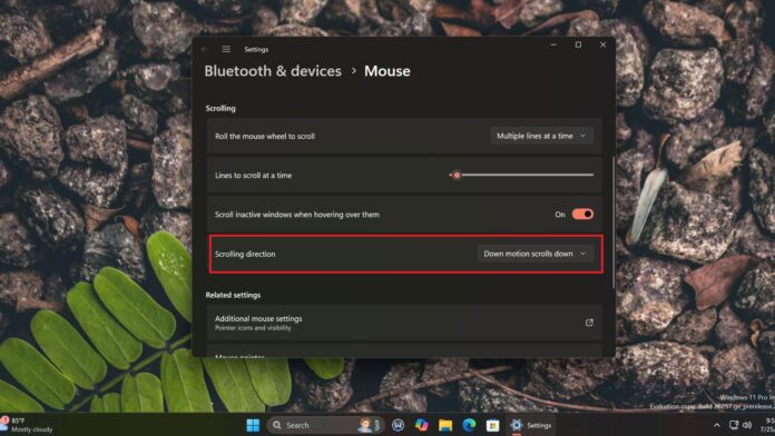 Windows 11 24H2 lets you adjust the mouse scroll wheel direction