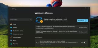 Windows 11 KB5040442 update issues