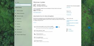 Windows 10 KB5041582 update