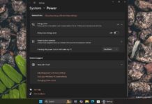 Windows 11 24H2 Energy Saver
