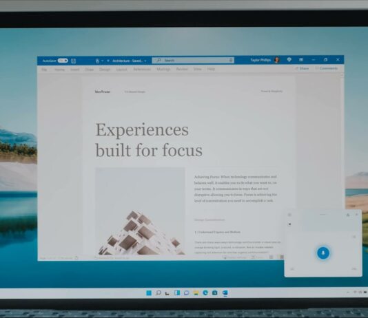 Microsoft Office for Windows 11