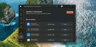 Microsoft Store for Windows 11