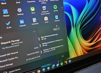Windows 11 microsoft account manager