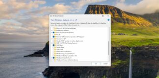 Uninstall Windows 11 Recall