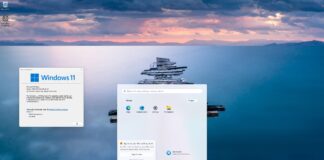 Download Windows 11 24H2 ISO image