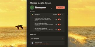 Phone Storage in Windows 11