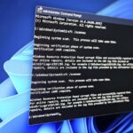 Windows 11 24H2 sfc scannow WebView2