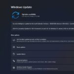 Windows 11 KB5044284 issues