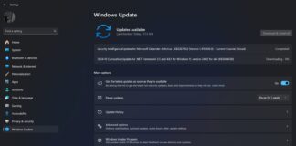Windows 11 KB5044284 issues