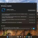 Windows 11 KB5044285 update