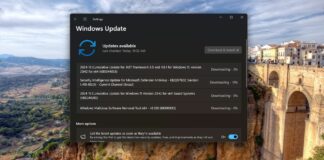 Windows 11 KB5044285 update