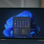 Windows 11 KB5044384 update