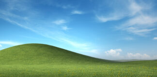 Windows XP Bliss Wallpaper 4K