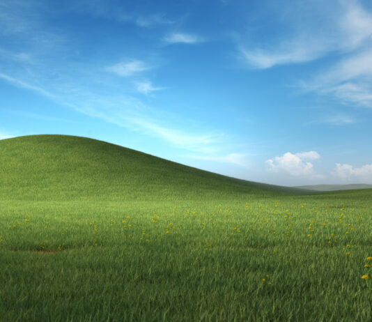 Windows XP Bliss Wallpaper 4K
