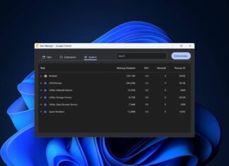 Chrome on Windows 11 with new Task Manager