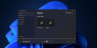 Windows 11 24H2 audio