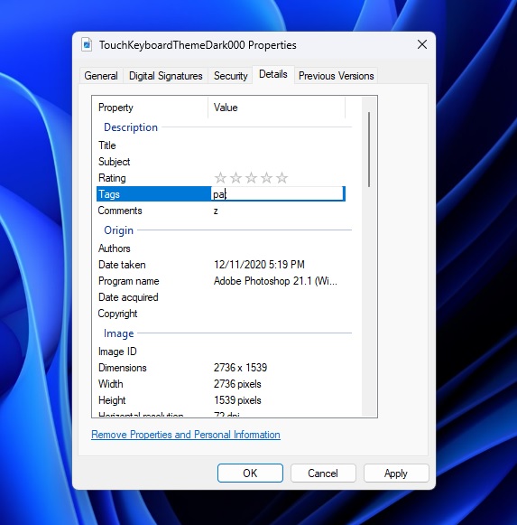 Windows 11 Explorer tag bug