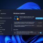 Windows 11 KB5046617 issues