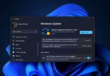 Windows 11 KB5046617 issues