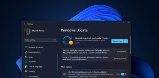 Windows 11 KB5046617 issues