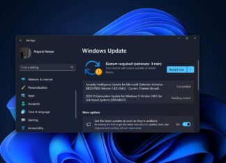 Windows 11 KB5046617 issues