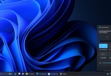 Windows 11 KB5046732 update