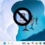 How to remove the “Learn more about this picture” icon in Windows 11