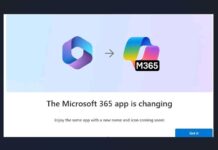 Windows 11 Copilot rebranding