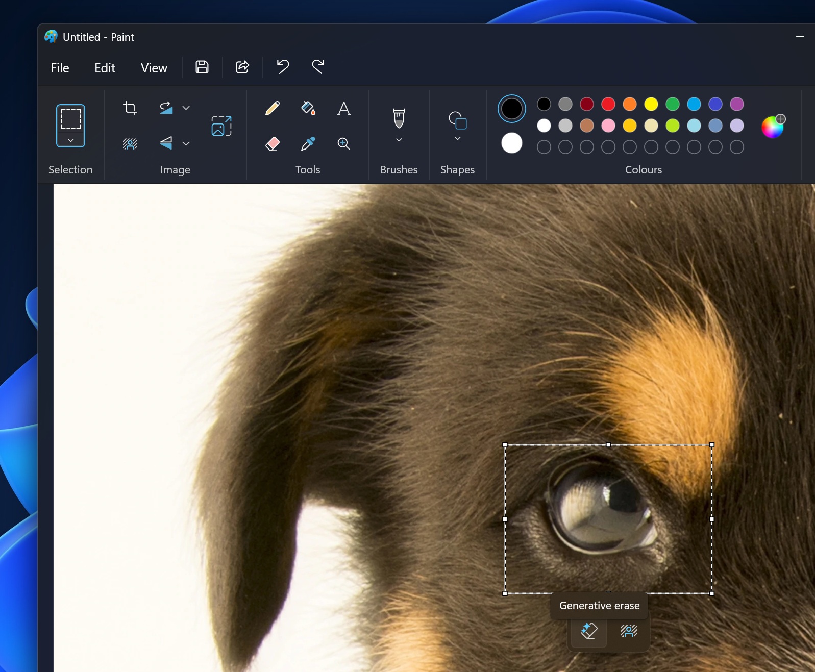 Generative Erase button in Paint