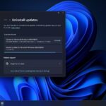 KB5050009 issues on Windows 11 24H2