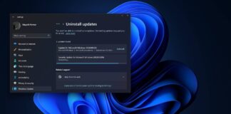 KB5050009 issues on Windows 11 24H2