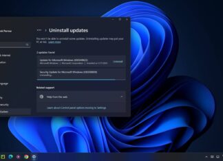 KB5050009 issues on Windows 11 24H2