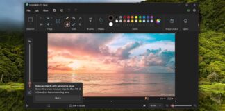 Microsoft Paint with Generative Erase feature on Windows 11