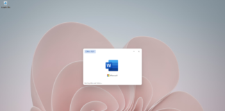 Microsoft Word starting up