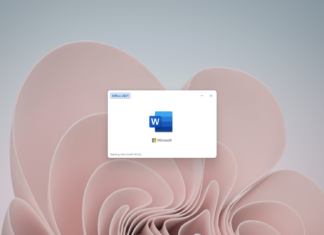 Microsoft Word starting up