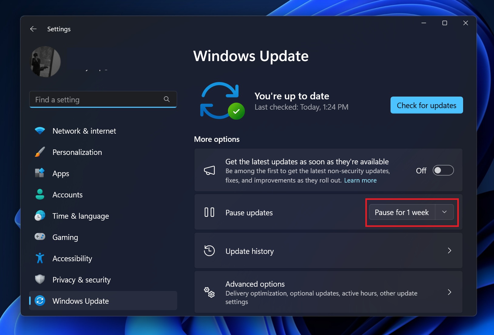 Pause updates on Windows 11