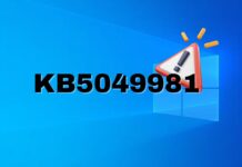 Windows 10 KB5049981 issues