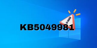 Windows 10 KB5049981 issues