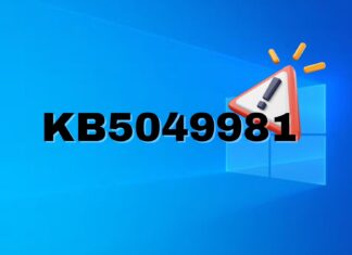 Windows 10 KB5049981 issues