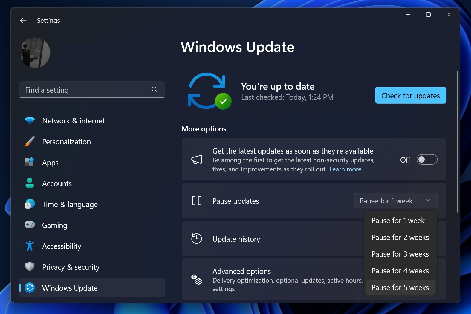 Windows 11 24H2 pause updates