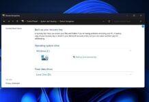Windows 11 BitLocker issue